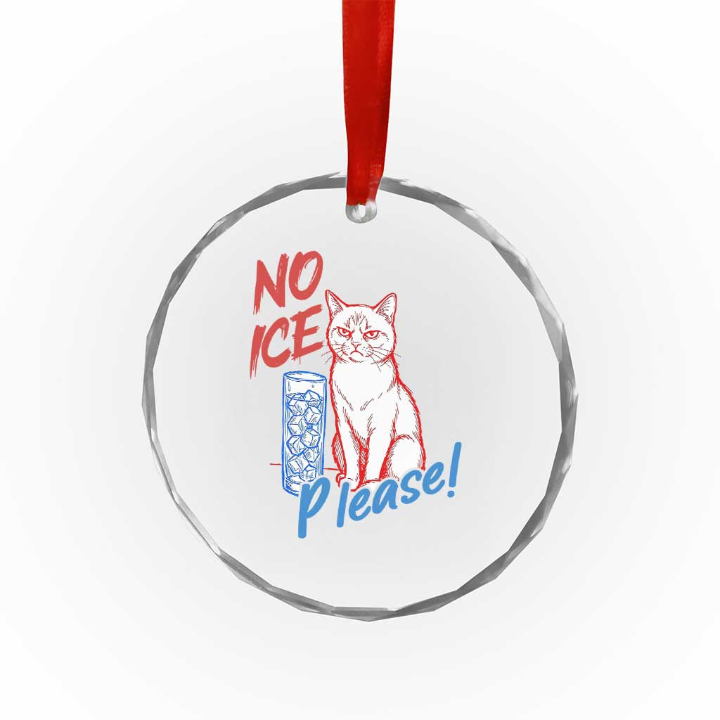 No Ice Please Angry Cat Graphic Crystal Glass Ornament Subtle Against Ice Protest Political Resistance