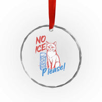 No Ice Please Angry Cat Graphic Crystal Glass Ornament Subtle Against Ice Protest Political Resistance