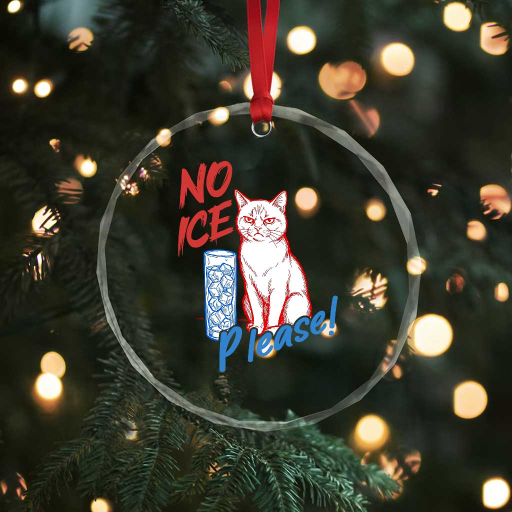 No Ice Please Angry Cat Graphic Crystal Glass Ornament Subtle Against Ice Protest Political Resistance
