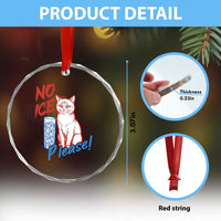 No Ice Please Angry Cat Graphic Crystal Glass Ornament Subtle Against Ice Protest Political Resistance