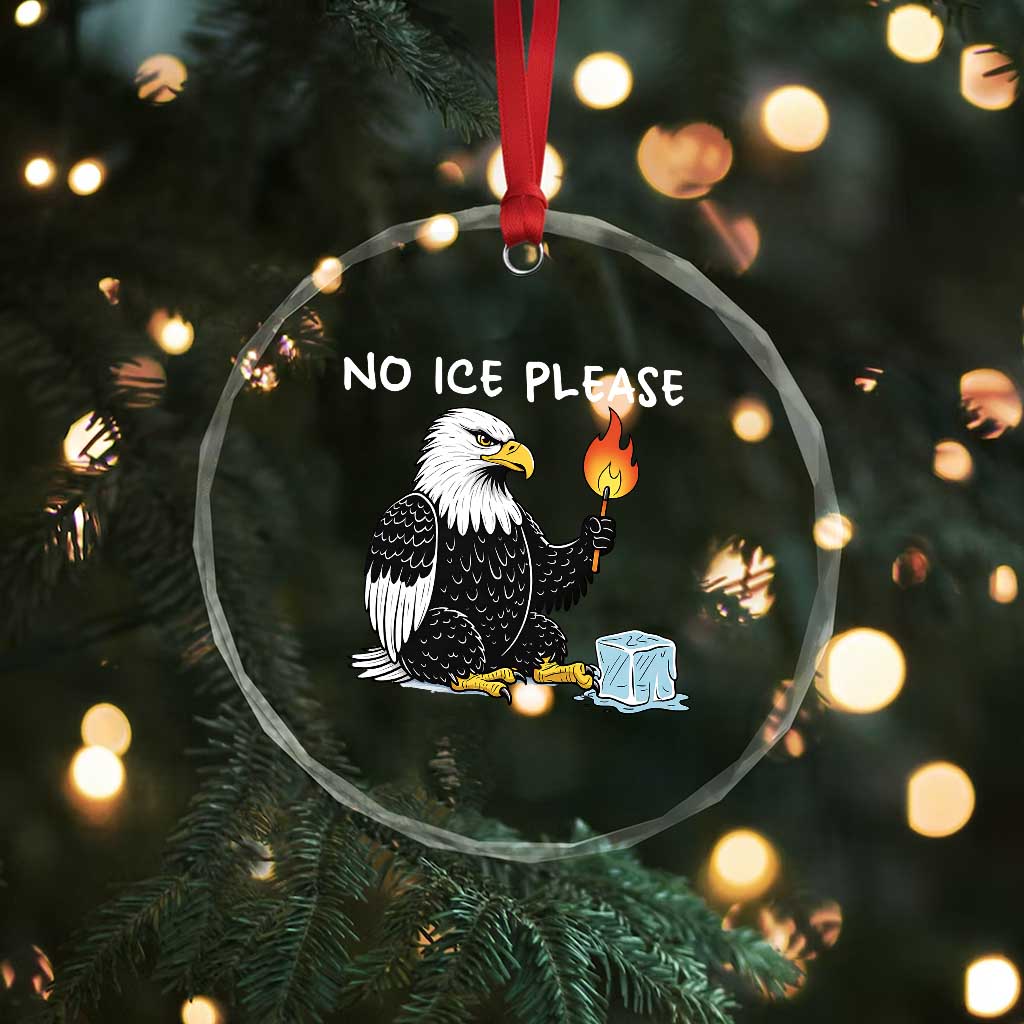 No Ice Please Crystal Glass Ornament Funny American Eagle Social Justice Gift