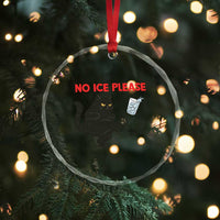 No Ice Please Crystal Glass Ornament Funny Black Cat Abolish ICE Meme Protest