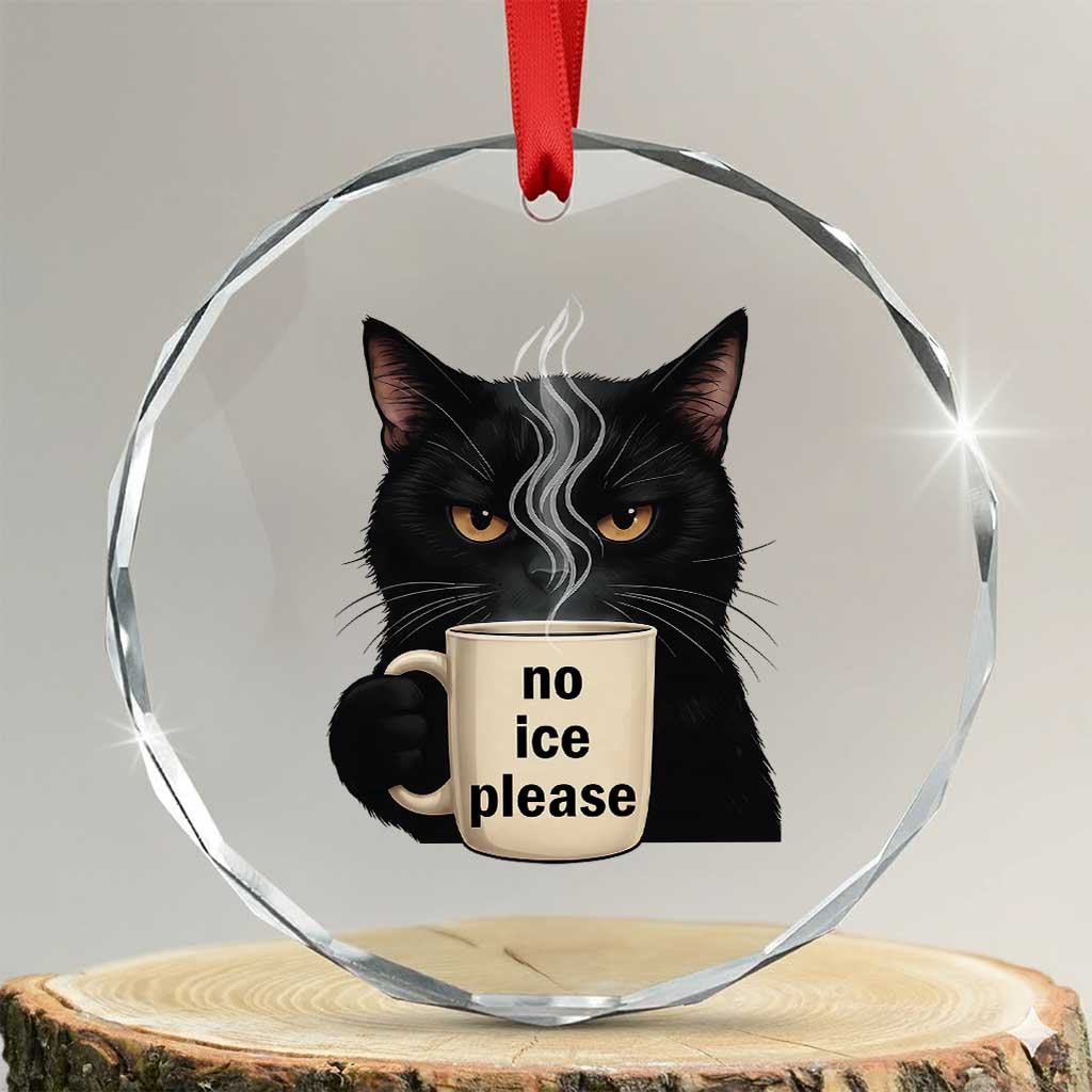 No Ice Please Crystal Glass Ornament Funny Black Cat Anti ICE Meme