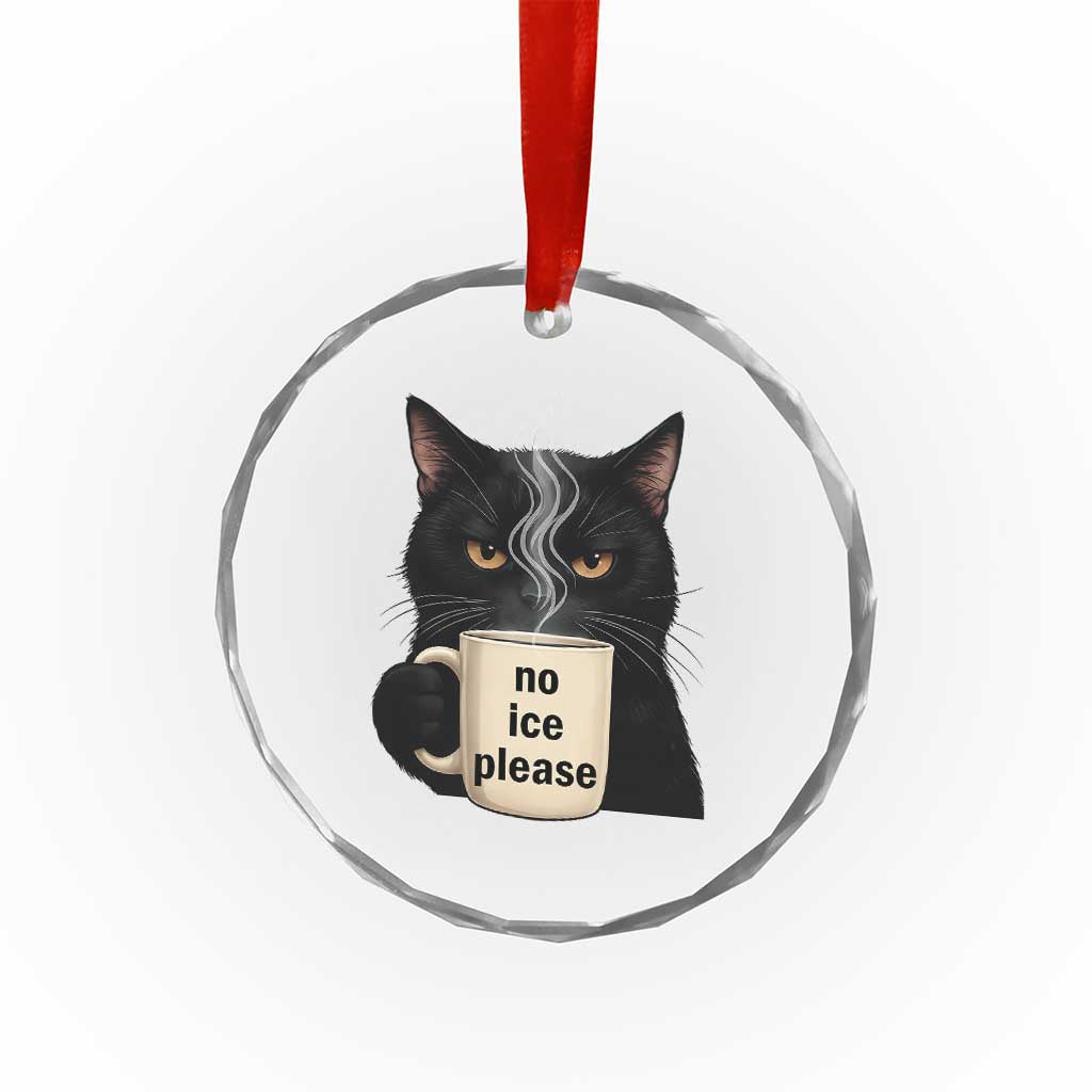 No Ice Please Crystal Glass Ornament Funny Black Cat Anti ICE Meme