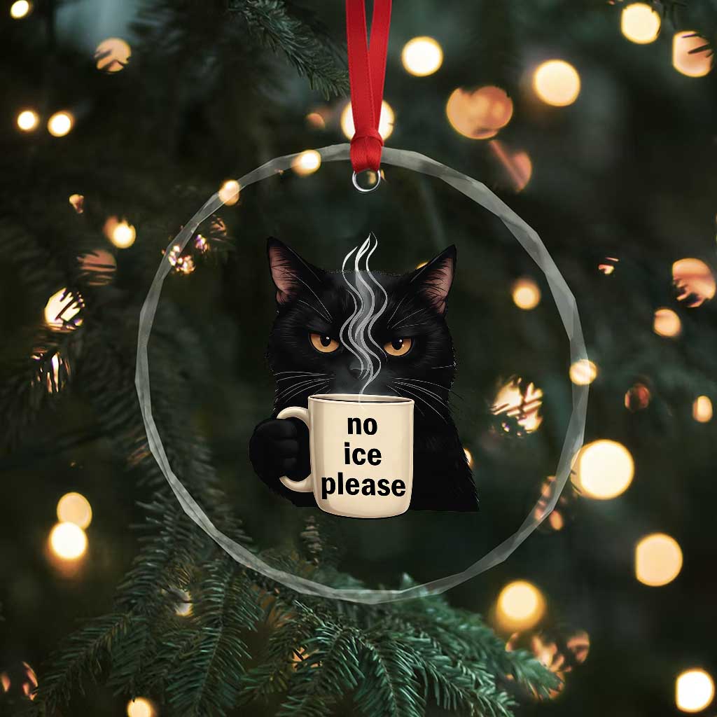 No Ice Please Crystal Glass Ornament Funny Black Cat Anti ICE Meme