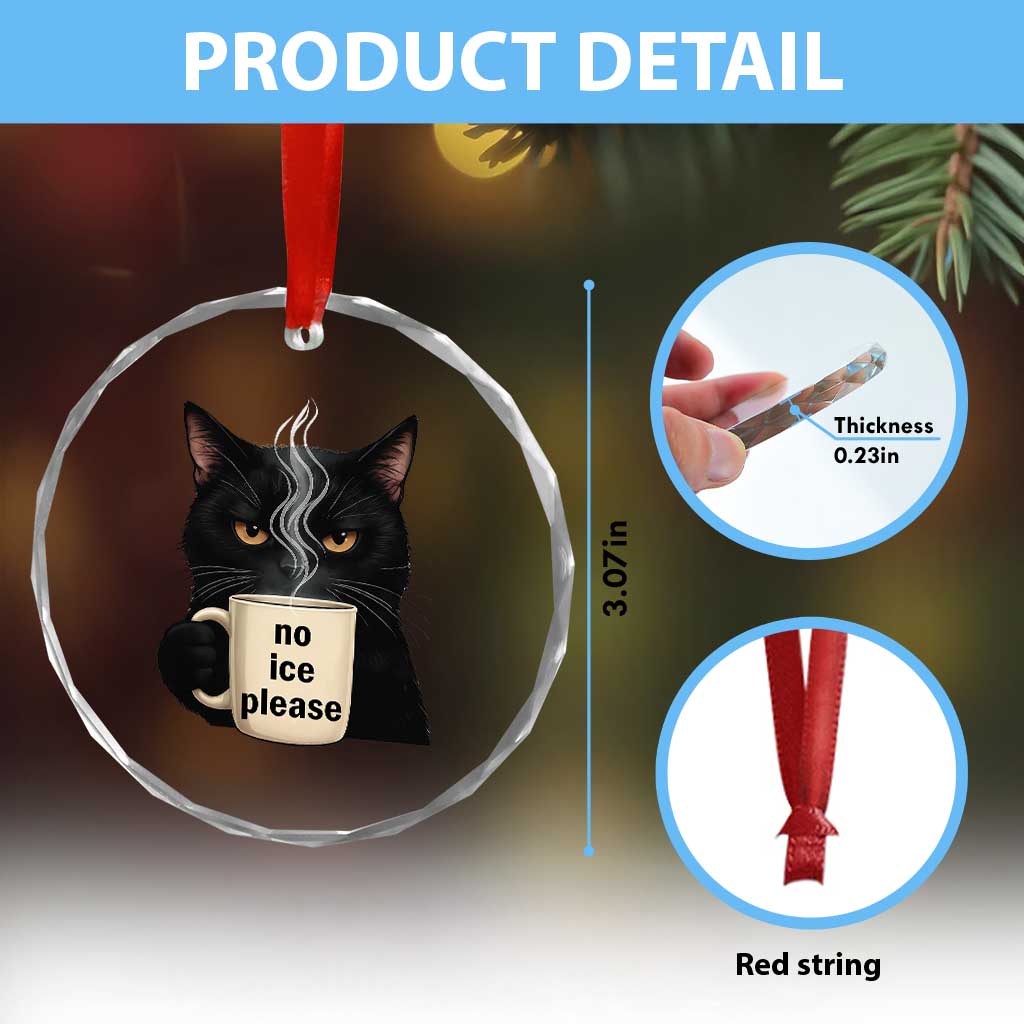 No Ice Please Crystal Glass Ornament Funny Black Cat Anti ICE Meme