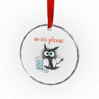 No Ice Please Crystal Glass Ornament Funny Black Cat Sarcastic Abolish ICE Meme