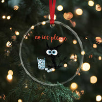 No Ice Please Crystal Glass Ornament Funny Black Cat Sarcastic Abolish ICE Meme