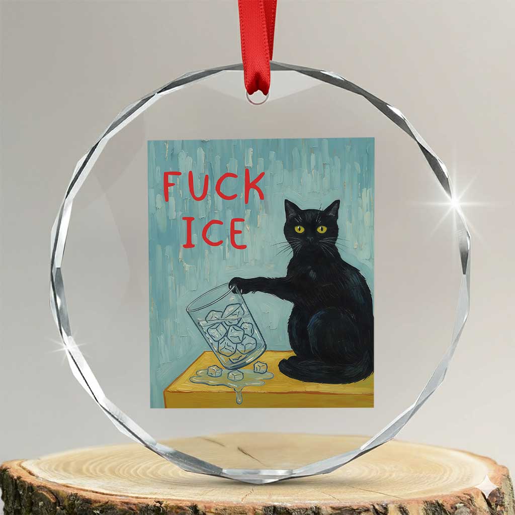 No Ice Please Crystal Glass Ornament Funny Cat Anti ICE Artist Meme