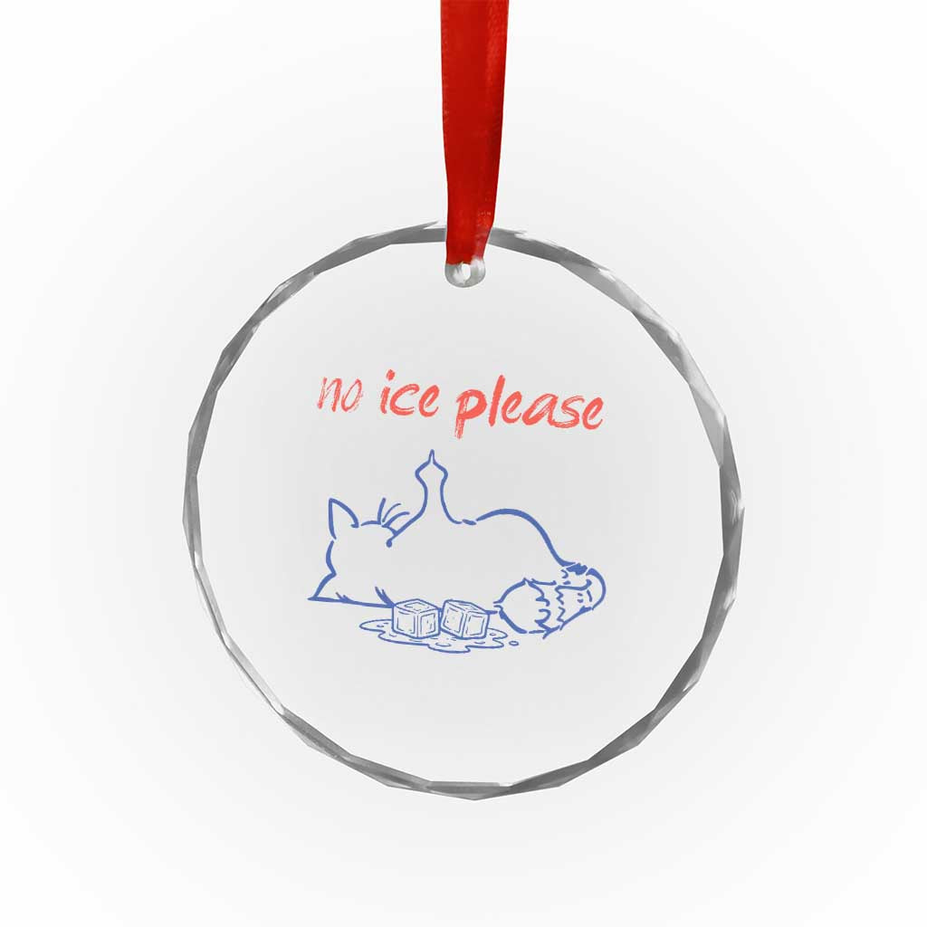 No Ice Please Crystal Glass Ornament Funny Cat Anti ICE Deportation Human Rights