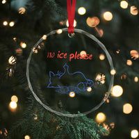 No Ice Please Crystal Glass Ornament Funny Cat Anti ICE Deportation Human Rights