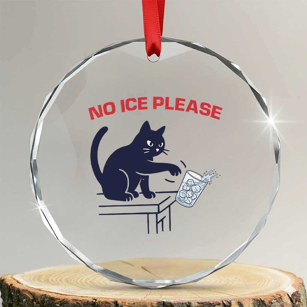 No Ice Please Crystal Glass Ornament Funny Cat Anti ICE Meme