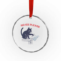 No Ice Please Crystal Glass Ornament Funny Cat Anti ICE Meme