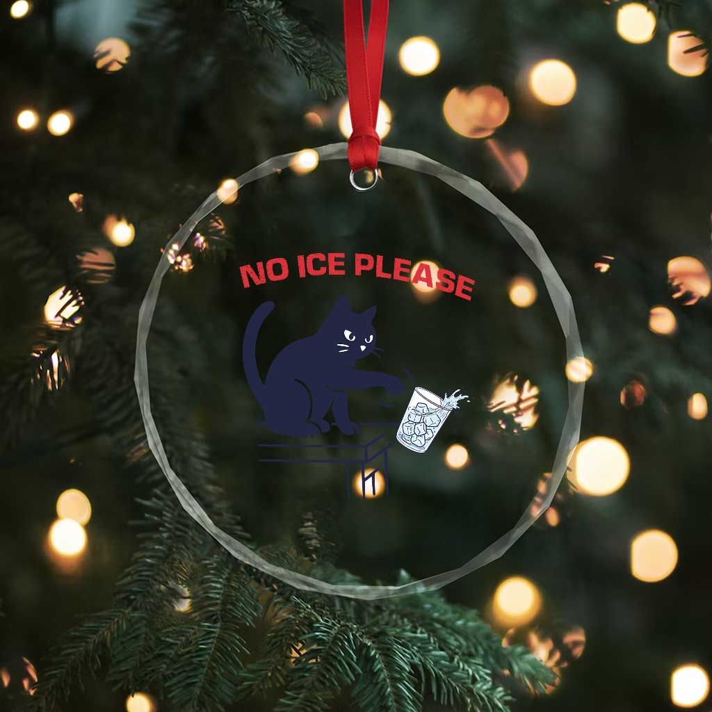 No Ice Please Crystal Glass Ornament Funny Cat Anti ICE Meme