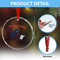No Ice Please Crystal Glass Ornament Funny Cat Anti ICE Meme