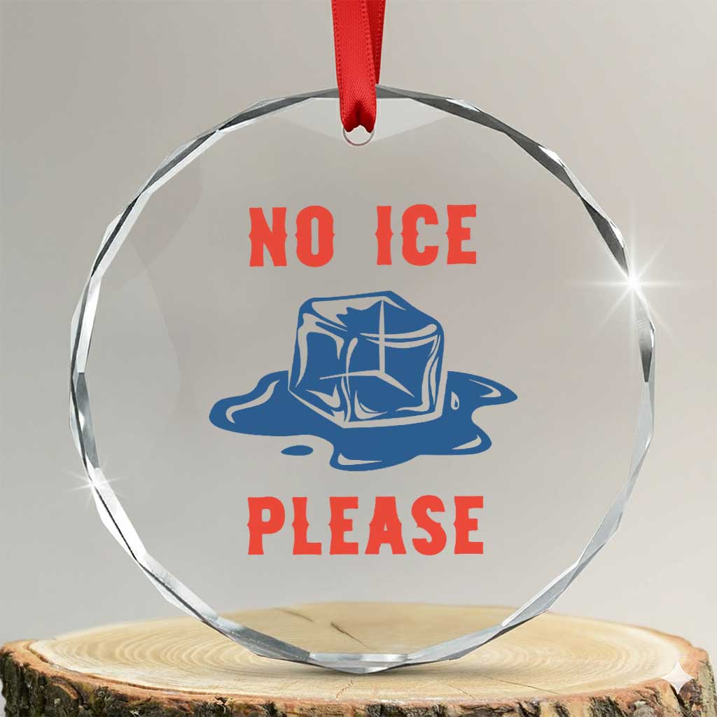 No Ice Please Crystal Glass Ornament Funny Ice Cube Anti ICE Deportation Human Rights