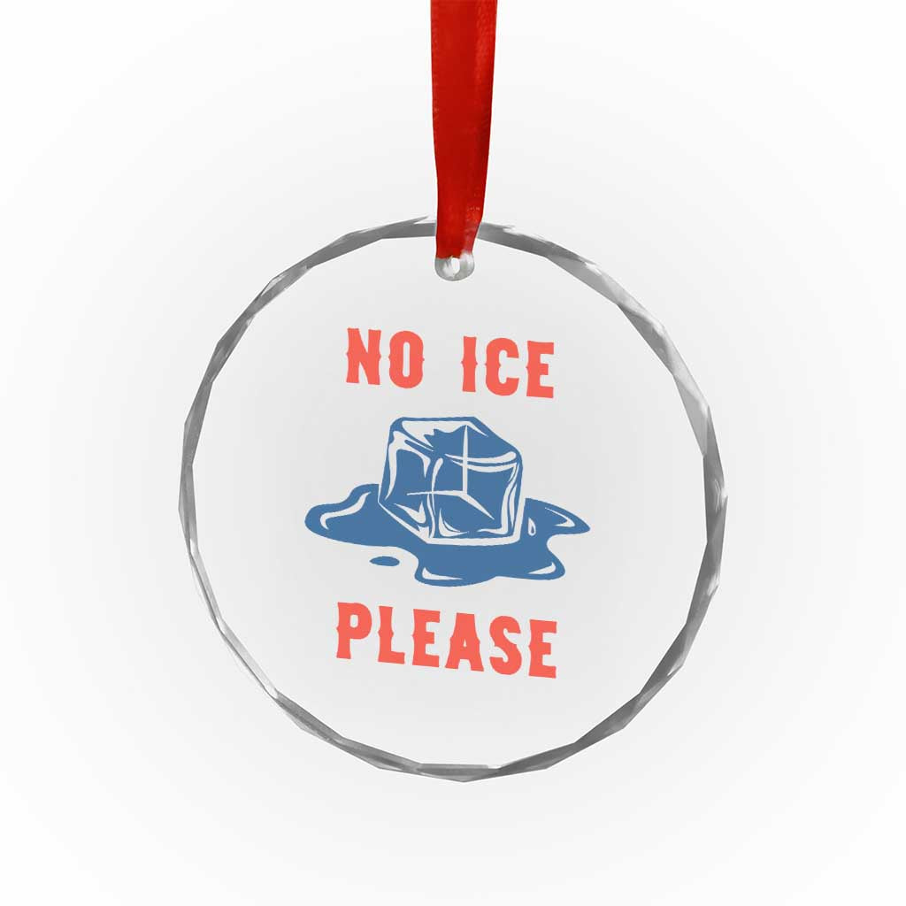 No Ice Please Crystal Glass Ornament Funny Ice Cube Anti ICE Deportation Human Rights