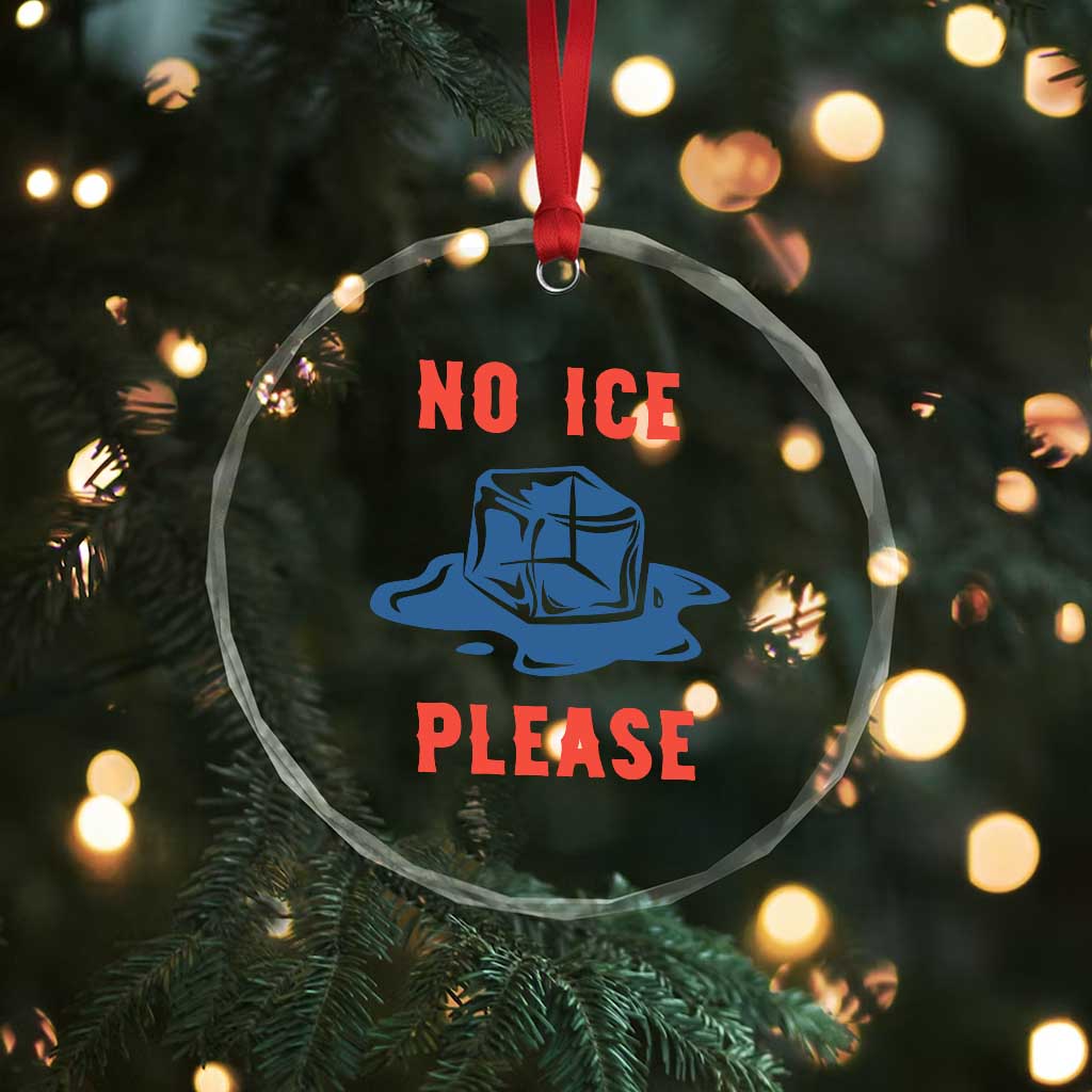 No Ice Please Crystal Glass Ornament Funny Ice Cube Anti ICE Deportation Human Rights