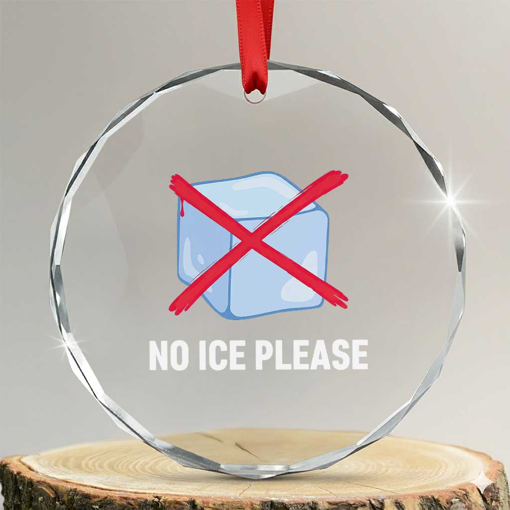 No Ice Please Crystal Glass Ornament Ice Cube Anti ICE Deportation Human Rights Protest