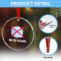 No Ice Please Crystal Glass Ornament Ice Cube Anti ICE Deportation Human Rights Protest