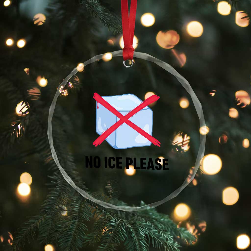 No Ice Please Crystal Glass Ornament Subtle Anti ICE Deportation Human Rights