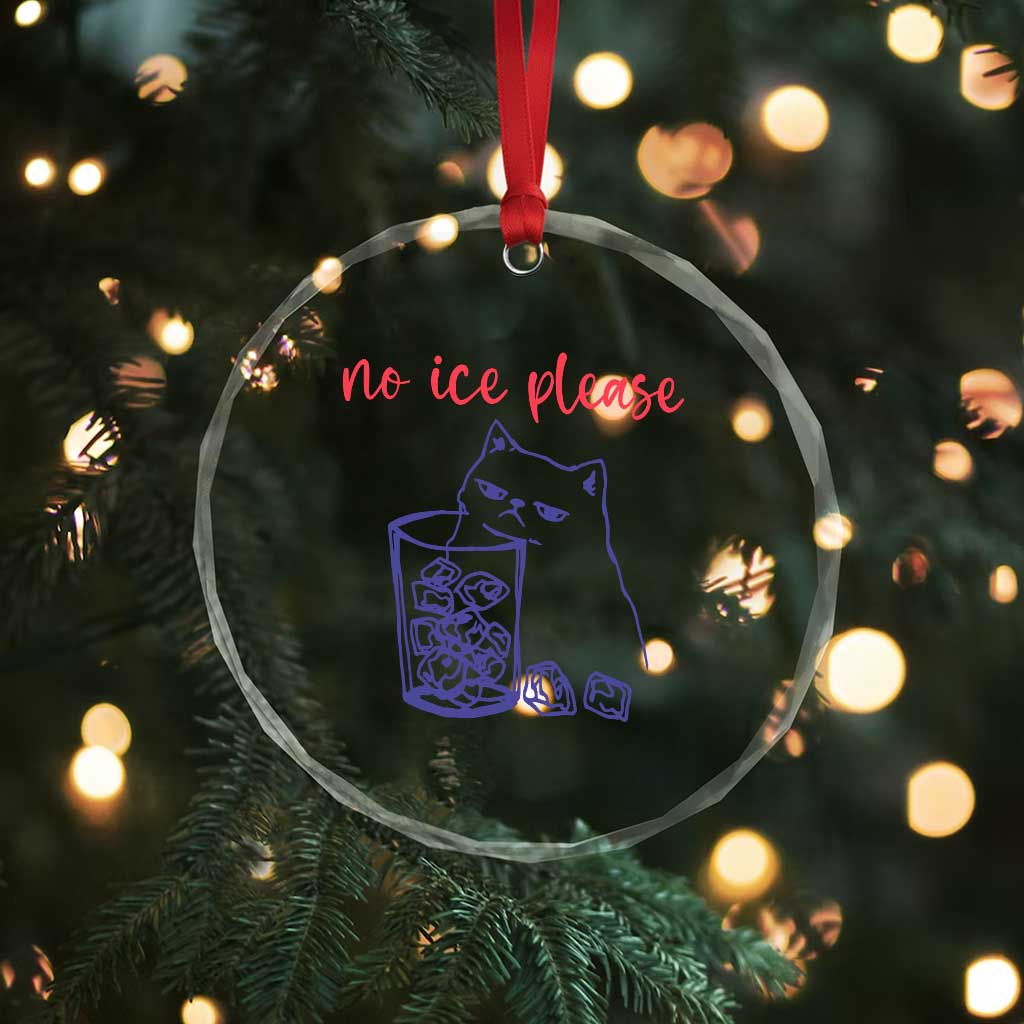 No Ice Please Funny Cat Meme Crystal Glass Ornament Subtle Against Ice Protest Political Resistance