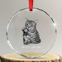 No Ice Please Realistic Angry Cat Graphic Crystal Glass Ornament Resistance Against Ice Protest