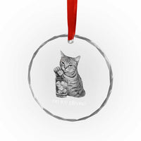 No Ice Please Realistic Angry Cat Graphic Crystal Glass Ornament Resistance Against Ice Protest