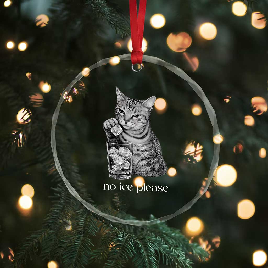 No Ice Please Realistic Angry Cat Graphic Crystal Glass Ornament Resistance Against Ice Protest