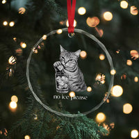 No Ice Please Realistic Angry Cat Graphic Crystal Glass Ornament Resistance Against Ice Protest