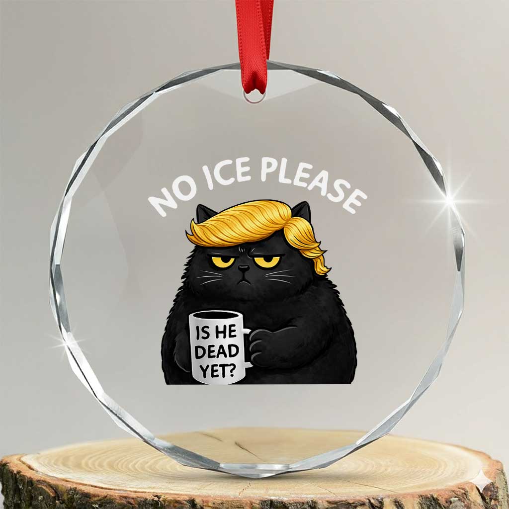No ICE Protest Crystal Glass Ornament Is He Dead Yet Black Cat Meme