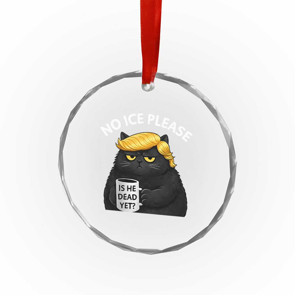 No ICE Protest Crystal Glass Ornament Is He Dead Yet Black Cat Meme