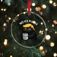 No ICE Protest Crystal Glass Ornament Is He Dead Yet Black Cat Meme