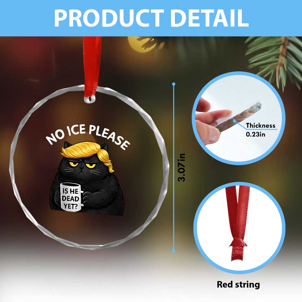 No ICE Protest Crystal Glass Ornament Is He Dead Yet Black Cat Meme