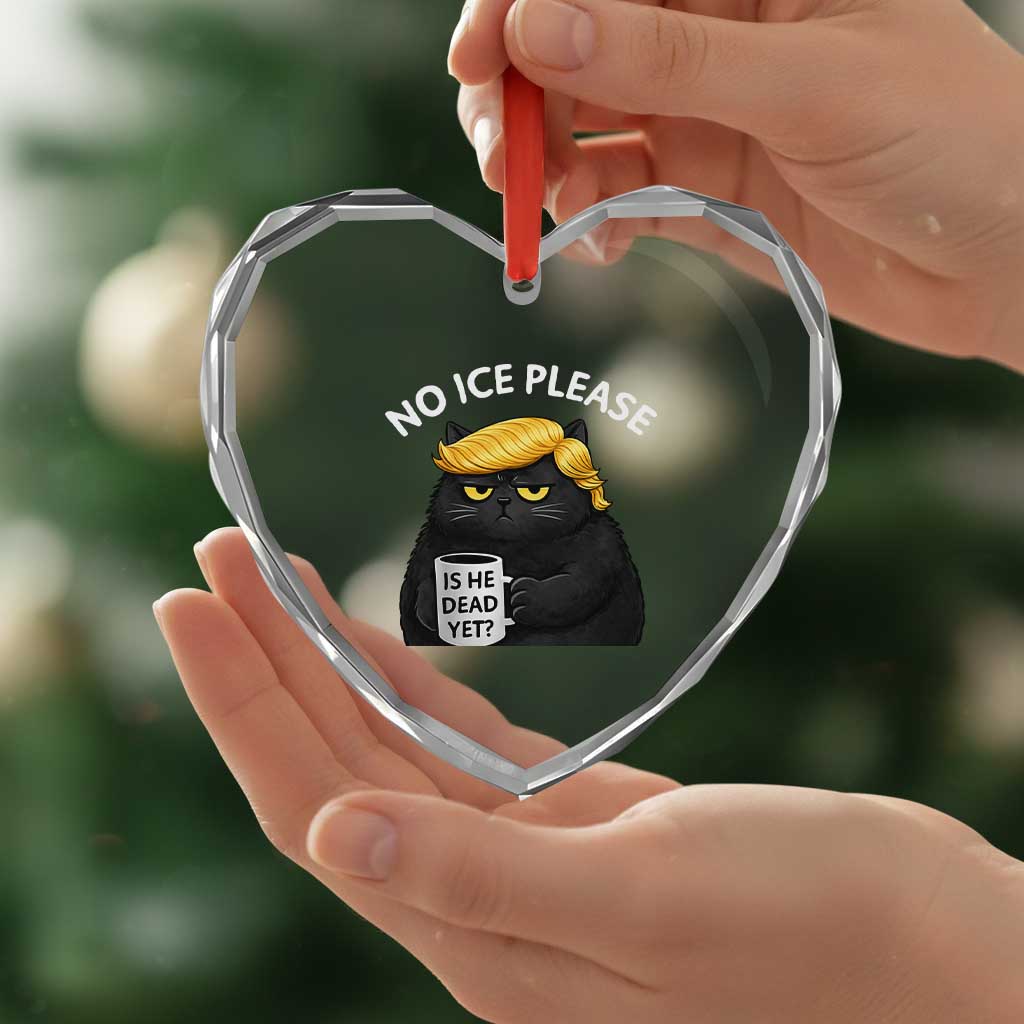 No ICE Protest Heart Crystal Glass Ornament Is He Dead Yet Black Cat Meme