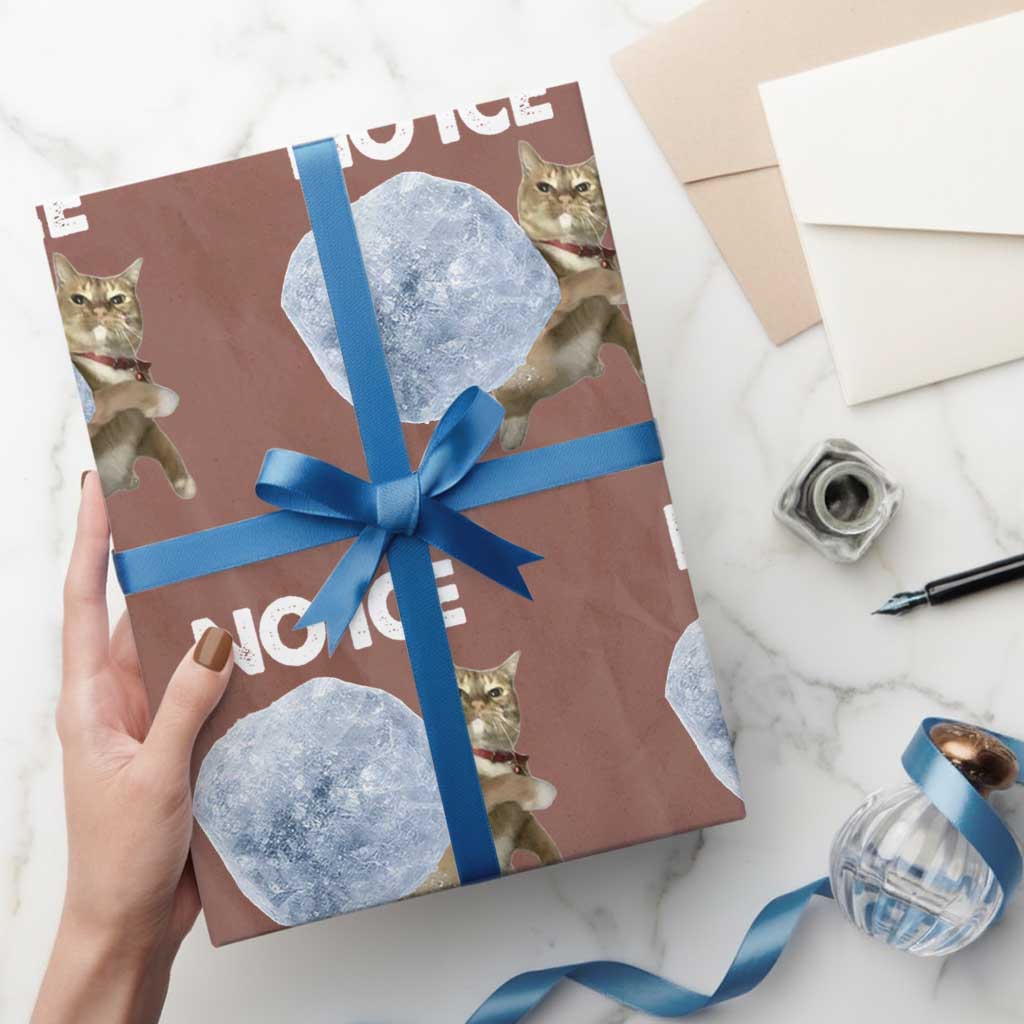 No Ice Wrapping Paper Roll Funny Cat Meme Subtle FDT Political Satire