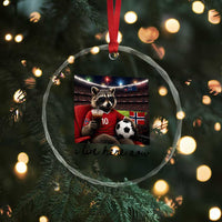 Norway Soccer Football Fan Norge Norwegian Flag Crystal Glass Ornament Funny Raccoon I Live Here Now