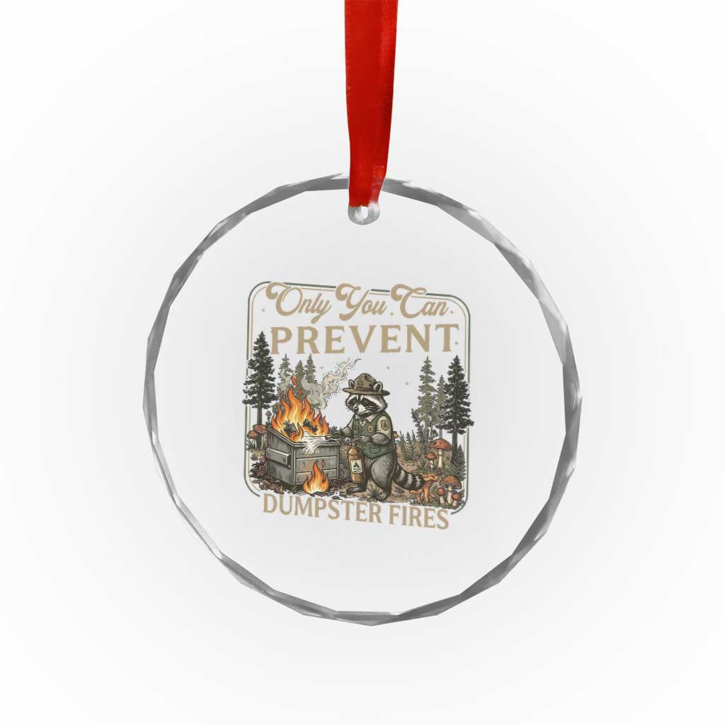Only You Can Prevent Dumpster Fires Crystal Glass Ornament Funny Raccoon Mental Health Meme