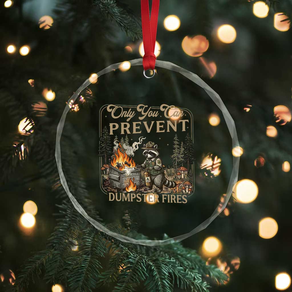 Only You Can Prevent Dumpster Fires Crystal Glass Ornament Funny Raccoon Mental Health Meme
