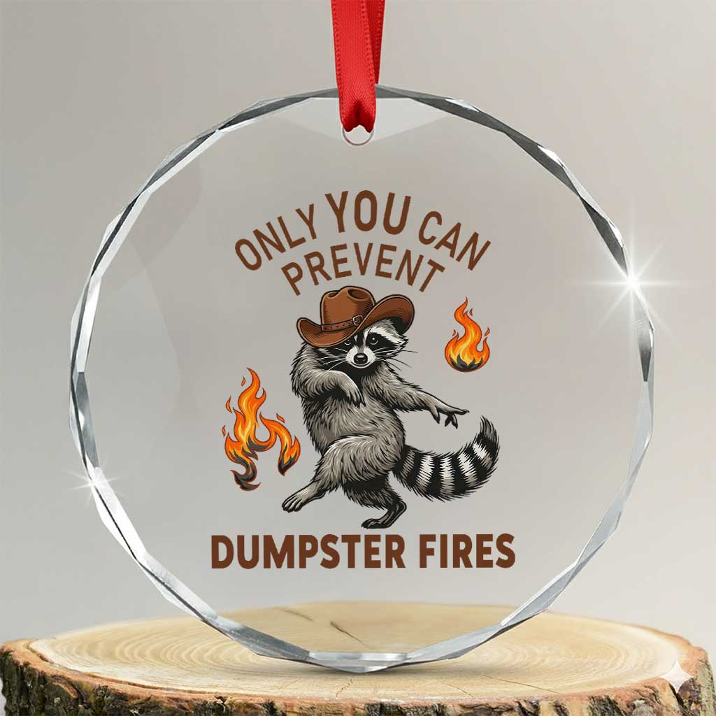 Only You Can Prevent Dumpster Fires Crystal Glass Ornament Funny Raccoon Sarcastic Humor