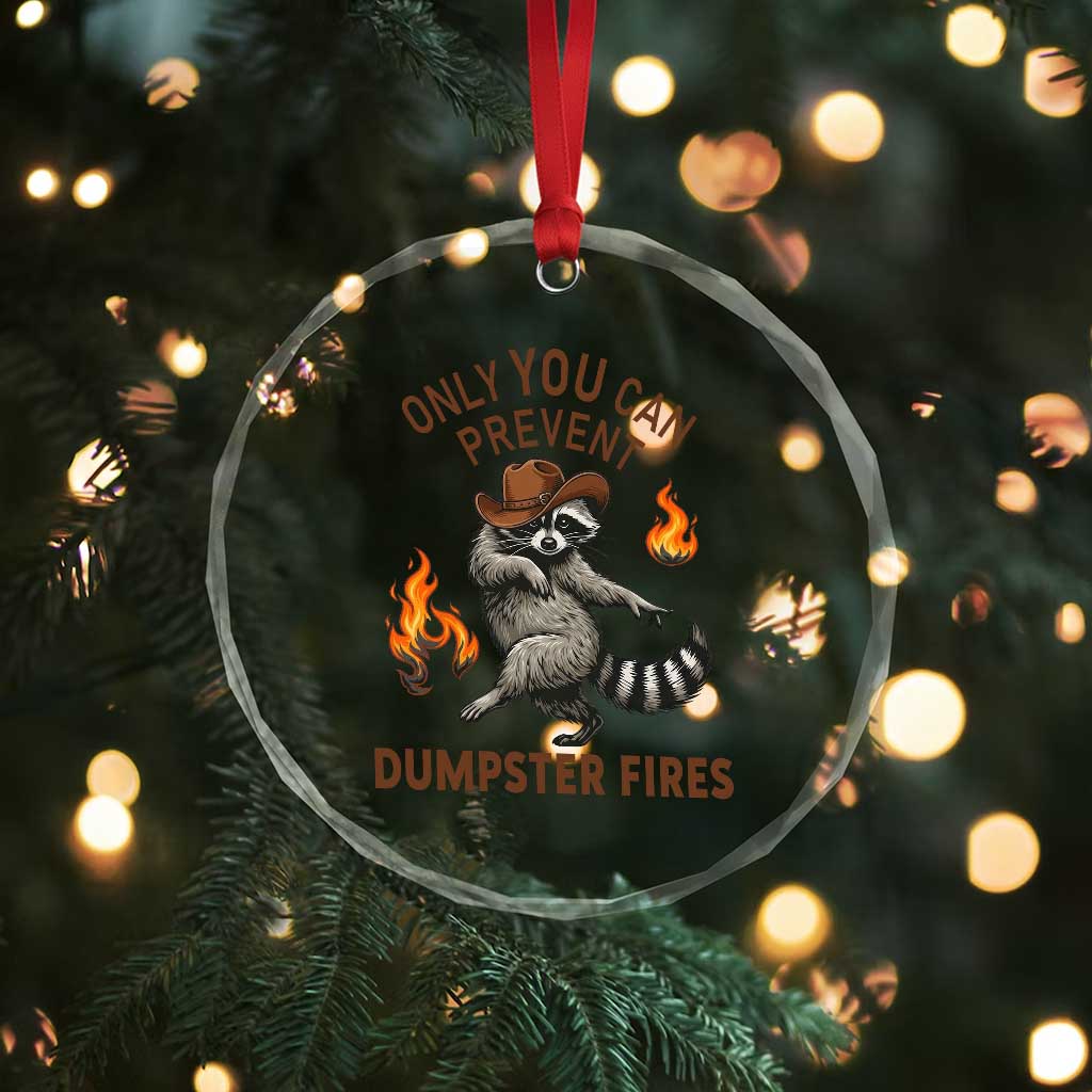 Only You Can Prevent Dumpster Fires Crystal Glass Ornament Funny Raccoon Sarcastic Humor