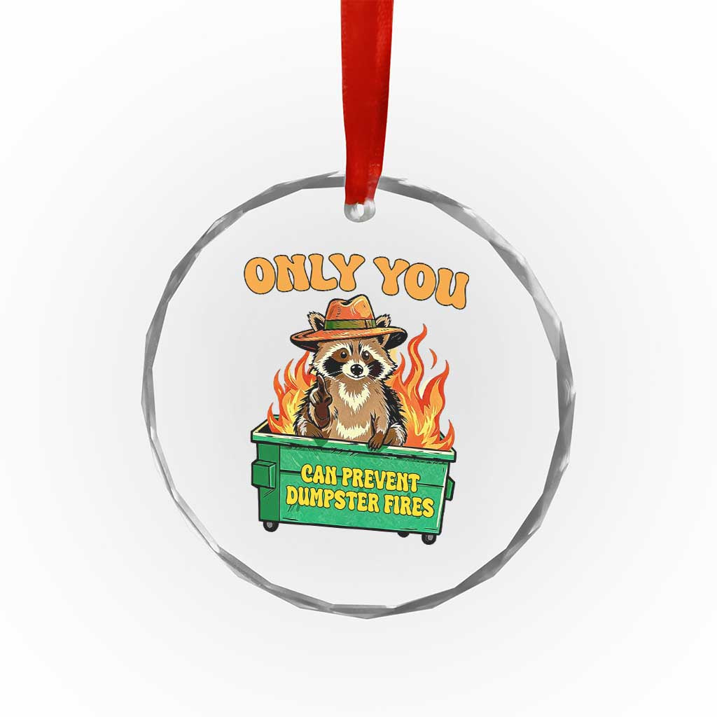 Only You Can Prevent Dumpster Fires Funny Raccoon Crystal Glass Ornament Sarcastic Chaos Humor Holiday Gag Gift - Wonder Print Shop