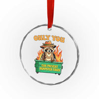 Only You Can Prevent Dumpster Fires Funny Raccoon Crystal Glass Ornament Sarcastic Chaos Humor Holiday Gag Gift - Wonder Print Shop