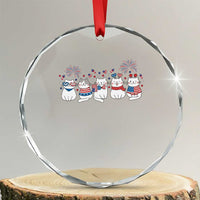 Patriotic Cat Lover Gift Crystal Glass Ornament America 250 Anniversary
