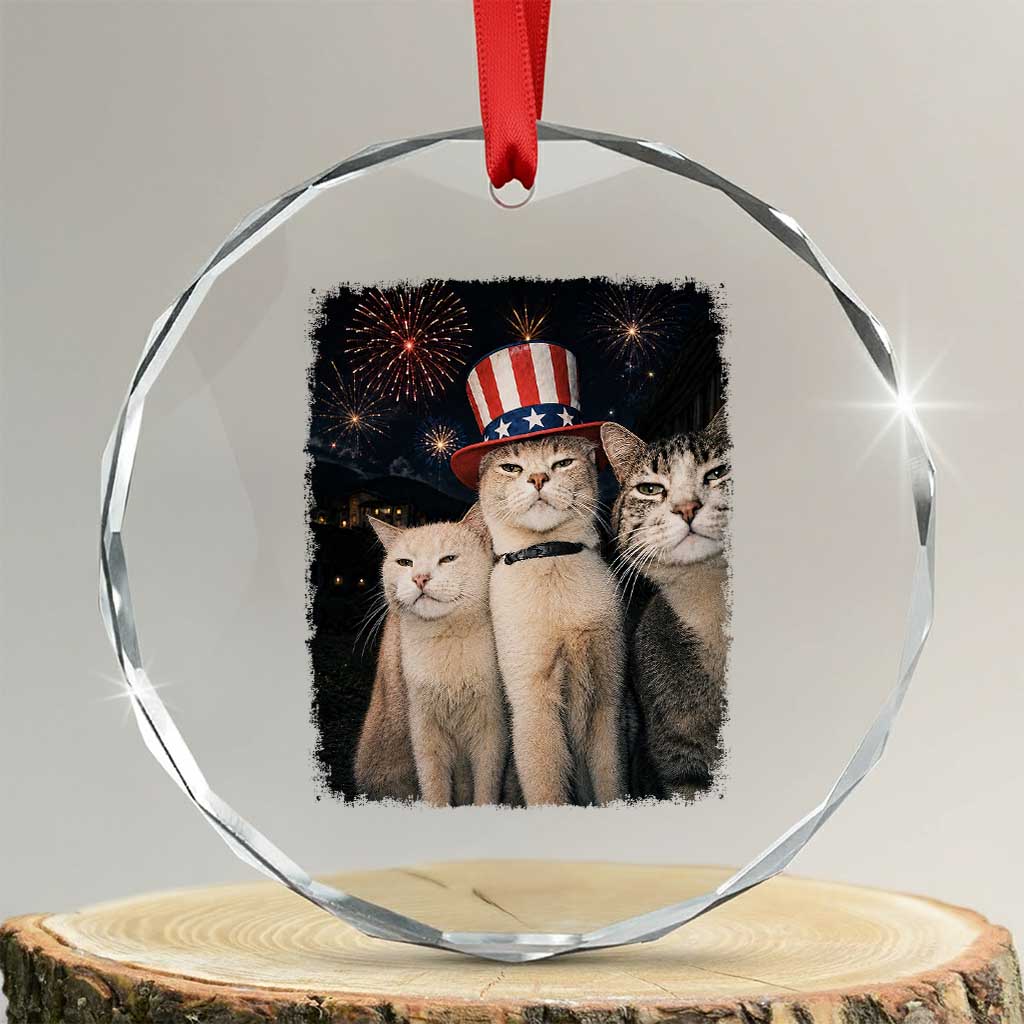 Patriotic Smoking Cat Crystal Glass Ornament Funny American Cat Lover 4th of July