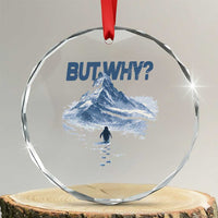 Penguin But Why Crystal Glass Ornament Funny Penguin Snowy Mountain Meme