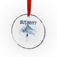 Penguin But Why Crystal Glass Ornament Funny Penguin Snowy Mountain Meme