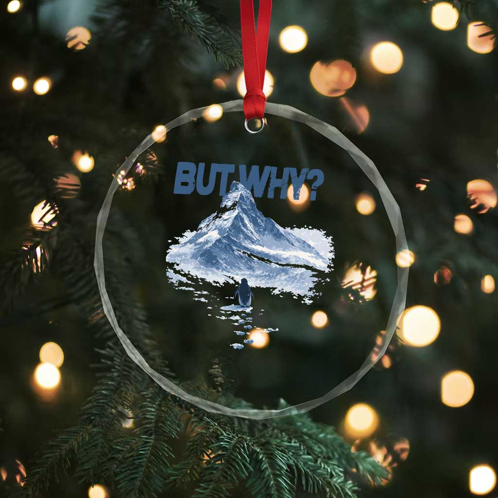 Penguin But Why Crystal Glass Ornament Funny Penguin Snowy Mountain Meme
