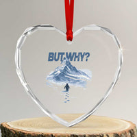 Penguin But Why Heart Crystal Glass Ornament Funny Penguin Snowy Mountain Meme