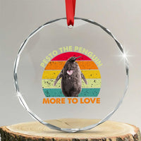 Pesto The Penguin Crystal Glass Ornament More To Love Vintage Sunset Retro TS11